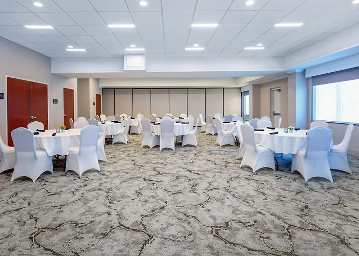 Hilton Garden Inn Tampa Northwest/Oldsmar